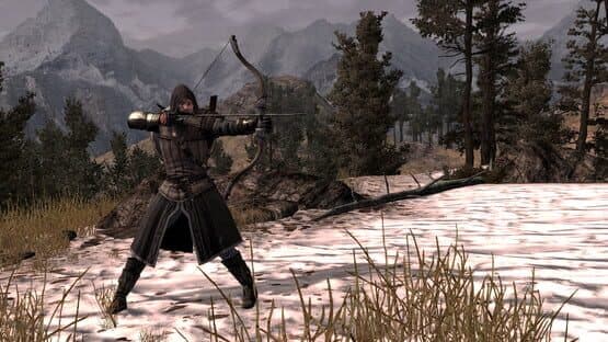 The Lord of the Rings: War in the North - Legacy Edition — screenshot 5