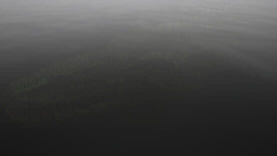Flesh Fossil — screenshot 6