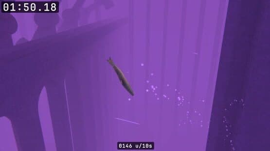 Salmon — screenshot 7