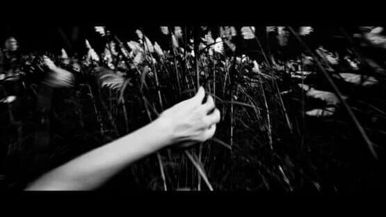 Susuki Kaidan — screenshot 1