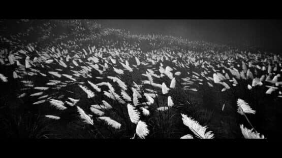 Susuki Kaidan — screenshot 3