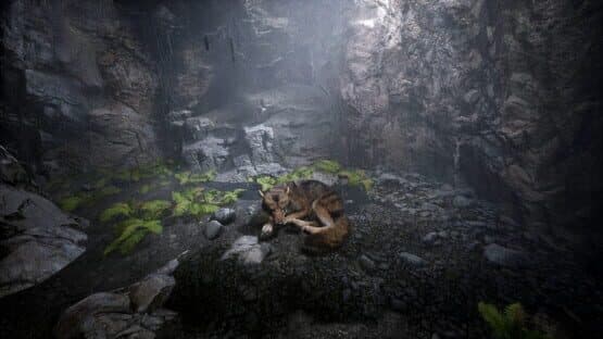 Heirs of the Moon — screenshot 4