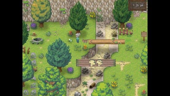 Cat Crazy — screenshot 1