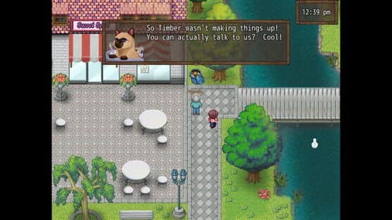 Cat Crazy — screenshot 3