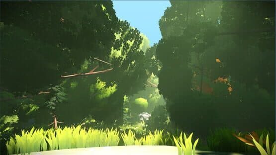 Look to the Birds — screenshot 4