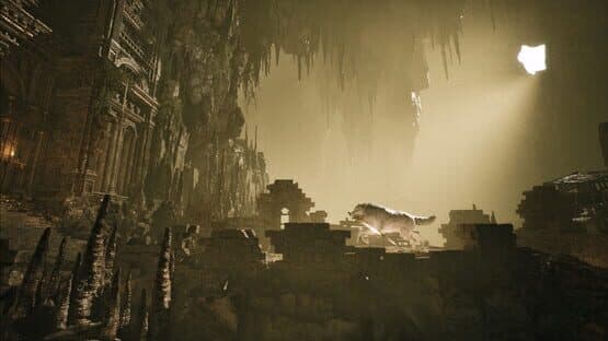 Stray Dog: Nobody Cares — screenshot 5