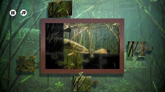 Puzzles: Fish — screenshot 4