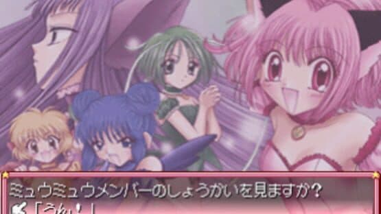 Tokyo Mew Mew: Toujou Shin Mew Mew! - Minna Issho ni Gohoushi Suru Nyan — screenshot 5