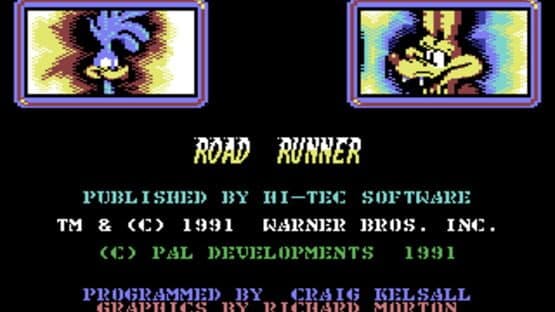Road Runner and Wile E. Coyote — screenshot 2