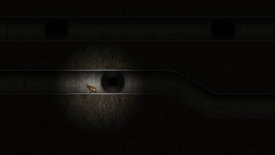 A toad well travelled — screenshot 8