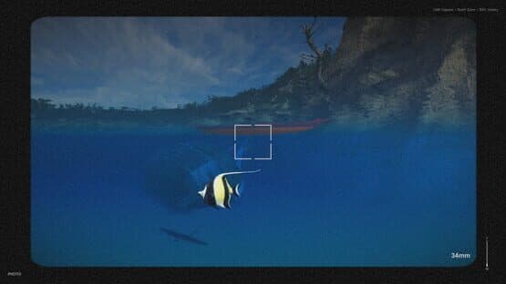 Kayak Photography Sim — screenshot 1