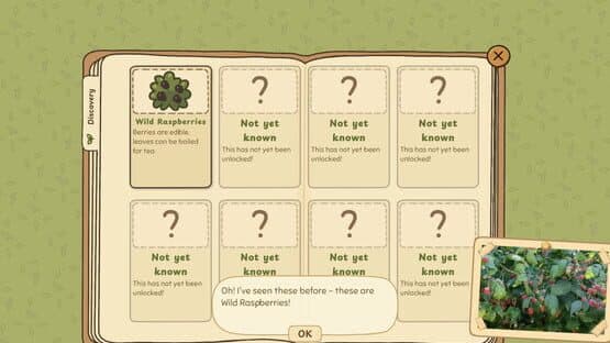 Grandma's Guide to the Grand Outside — screenshot 5