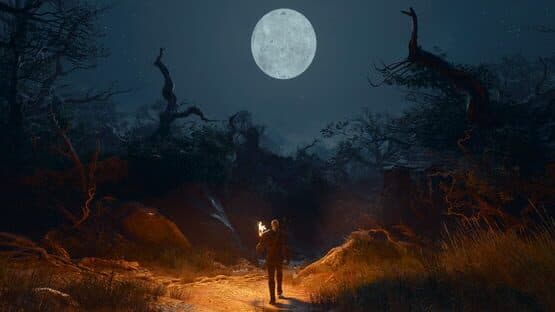The Witcher 3: Wild Hunt - Songs of the Past — screenshot 3