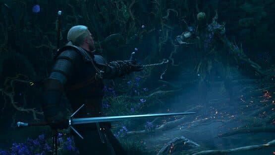 The Witcher 3: Wild Hunt - Songs of the Past — screenshot 6