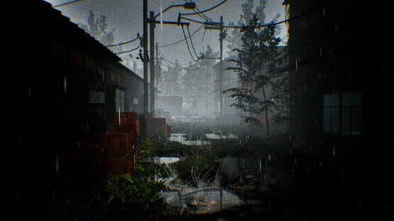 Taro Is Back — screenshot 1