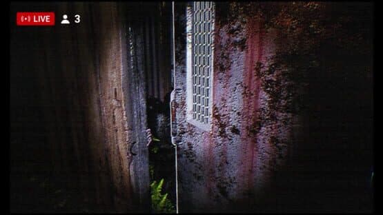 Taro Is Back — screenshot 3