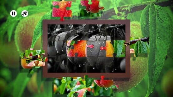 Puzzles Fruit — screenshot 4