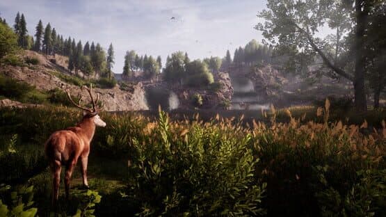 Medieval Dynasty: The Backwood — screenshot 5