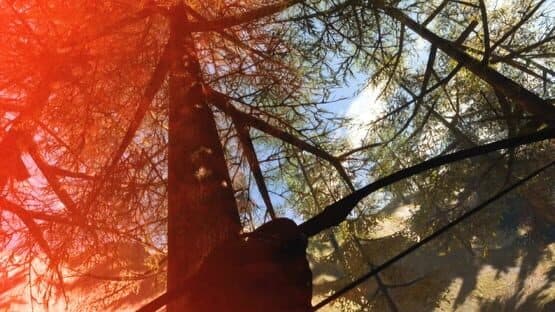 Sanguo Warriors VR2 — screenshot 2
