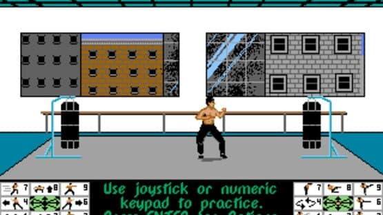 Bruce Lee Lives: The Fall of Hong Kong Palace — screenshot 2