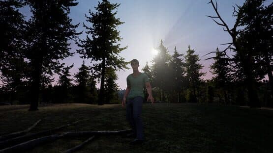 Strange Encounter — screenshot 3