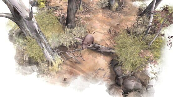 Paperbark — screenshot 6