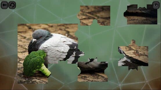 Puzzles for Smart: Birds — screenshot 1