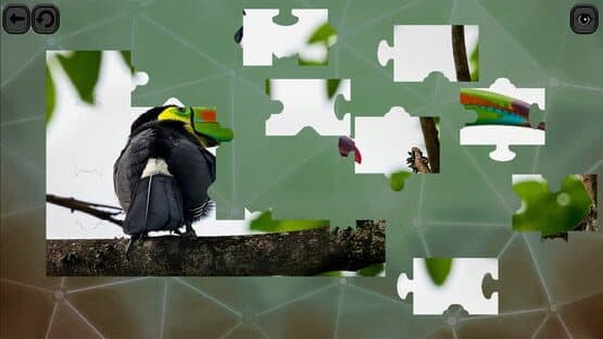 Puzzles for Smart: Birds — screenshot 2