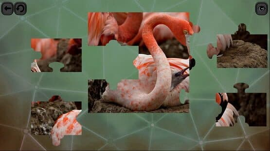 Puzzles for Smart: Birds — screenshot 3