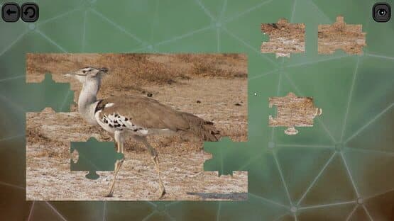 Puzzles for Smart: Birds — screenshot 5