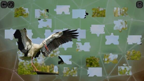 Puzzles for Smart: Birds — screenshot 7