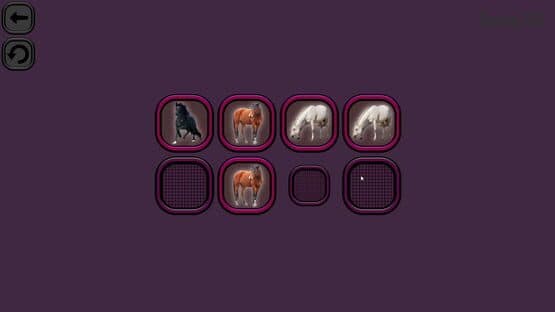 Animals Memory: Horses — screenshot 2