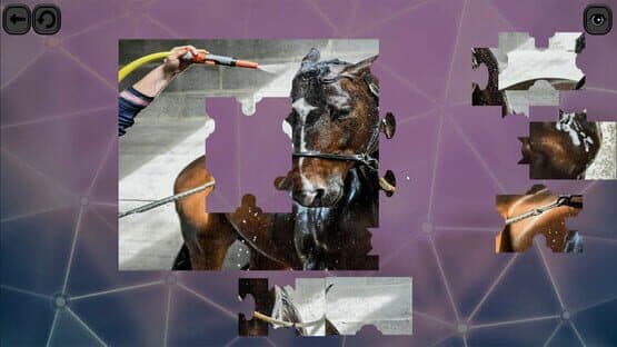 Puzzles for smart: Horses — screenshot 1
