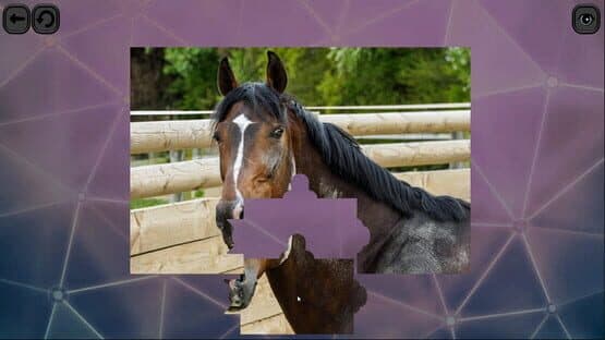 Puzzles for smart: Horses — screenshot 2