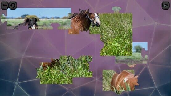 Puzzles for smart: Horses — screenshot 3