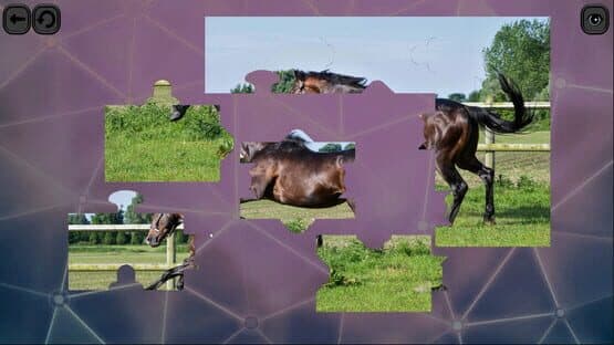 Puzzles for smart: Horses — screenshot 4