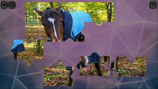 Puzzles for smart: Horses — screenshot 5