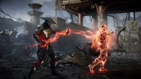 Mortal Kombat 11 — screenshot 6