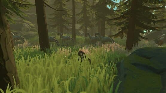 Pine — screenshot 4
