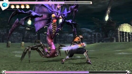 Ninja Gaiden — screenshot 1