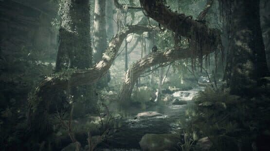 Ancestors: The Humankind Odyssey — screenshot 1