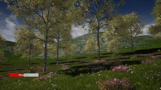 Medieval Towns — screenshot 1