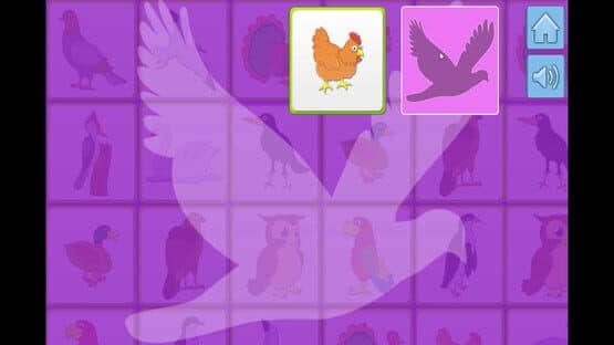 Bird Memory — screenshot 1