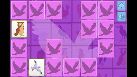 Bird Memory — screenshot 2