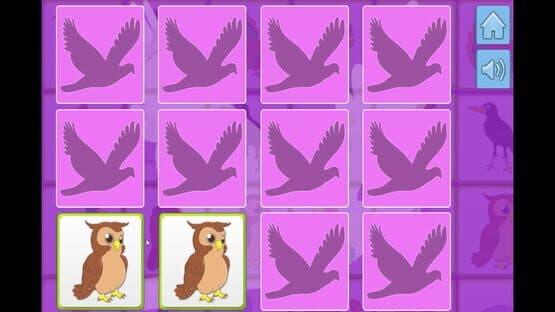 Bird Memory — screenshot 3