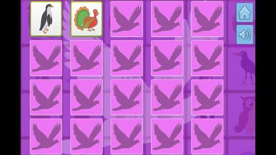 Bird Memory — screenshot 4