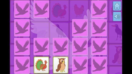 Bird Memory — screenshot 5
