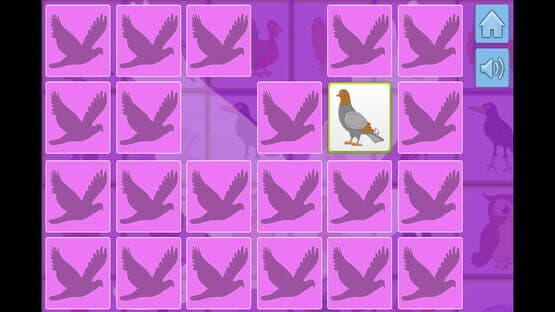 Bird Memory — screenshot 6