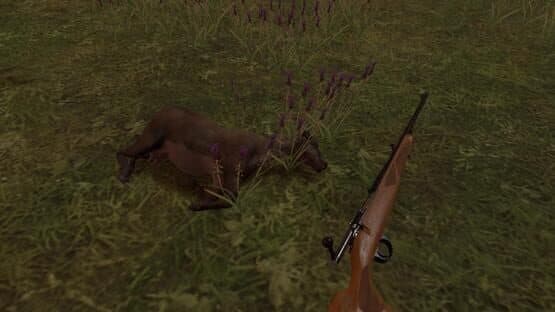 Hunting Simulator VR — screenshot 6