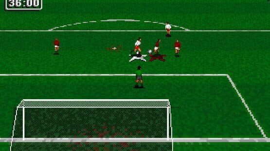Striker '95 — screenshot 2